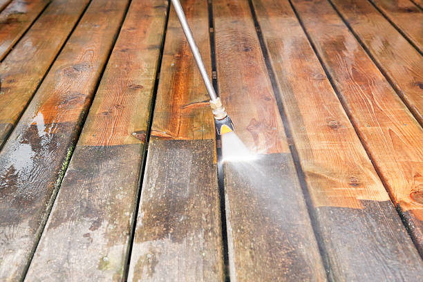 Best Animal Enclosure Cleaning  in Stuart, VA